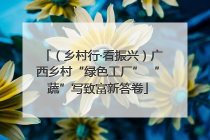 （乡村行·看振兴）广西乡村“绿色工厂” “蔬”写致富新答卷