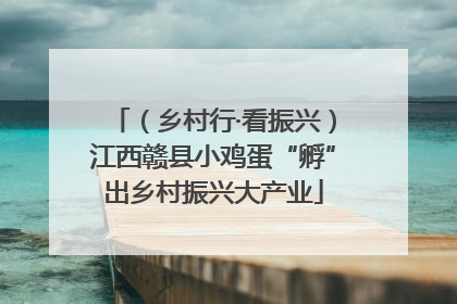 （乡村行·看振兴）江西赣县小鸡蛋“孵”出乡村振兴大产业