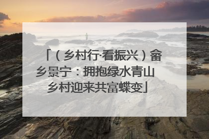 （乡村行·看振兴）畲乡景宁：拥抱绿水青山 乡村迎来共富蝶变