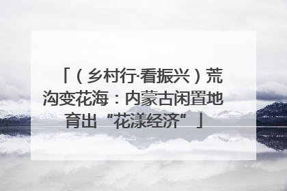 （乡村行·看振兴）荒沟变花海：内蒙古闲置地育出“花漾经济”
