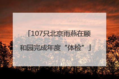 107只北京雨燕在颐和园完成年度“体检”