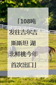 108吨发往吉尔吉斯斯坦 湖北鲜桃今年首次出口