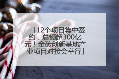 12个项目集中签约，总额超300亿元！金砖创新基地产业项目对接会举行