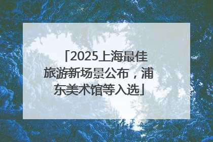 2025上海最佳旅游新场景公布，浦东美术馆等入选