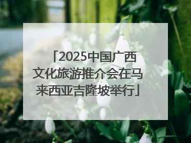 2025中国广西文化旅游推介会在马来西亚吉隆坡举行
