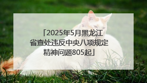 2025年5月黑龙江省查处违反中央八项规定精神问题805起