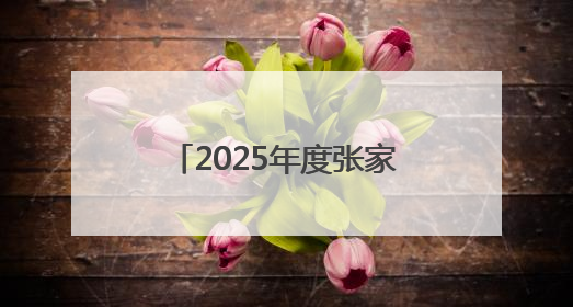 2025年度张家界口岸出入境人员突破20万人次，韩国、马来西亚、越南居客源国前三