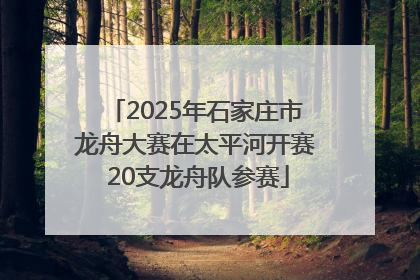2025年石家庄市龙舟大赛在太平河开赛 20支龙舟队参赛