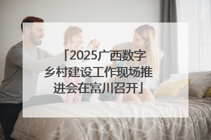 2025广西数字乡村建设工作现场推进会在富川召开