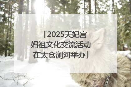 2025天妃宫妈祖文化交流活动在太仓浏河举办