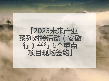 2025未来产业系列对接活动（安徽行）举行 6个重点项目现场签约