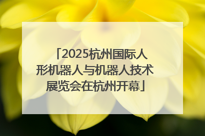 2025杭州国际人形机器人与机器人技术展览会在杭州开幕