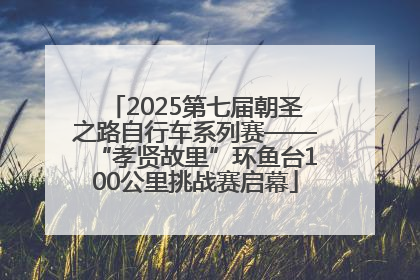 2025第七届朝圣之路自行车系列赛——“孝贤故里”环鱼台100公里挑战赛启幕