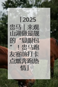 2025贵马｜来观山湖做最靓的“显眼包”！贵马跑友赛前打卡点燃奔跑热情