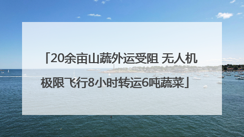 20余亩山蔬外运受阻 无人机极限飞行8小时转运6吨蔬菜