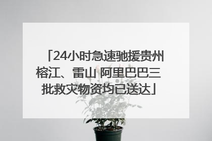 24小时急速驰援贵州榕江、雷山 阿里巴巴三批救灾物资均已送达