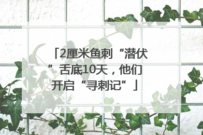 2厘米鱼刺“潜伏”舌底10天，他们开启“寻刺记”