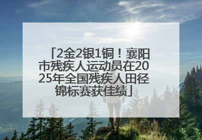 2金2银1铜！襄阳市残疾人运动员在2025年全国残疾人田径锦标赛获佳绩