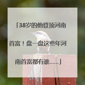 38岁的他登顶河南首富！盘一盘这些年河南首富都有谁……