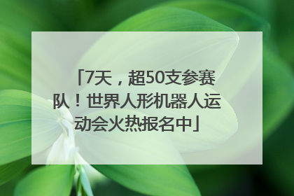 7天，超50支参赛队！世界人形机器人运动会火热报名中