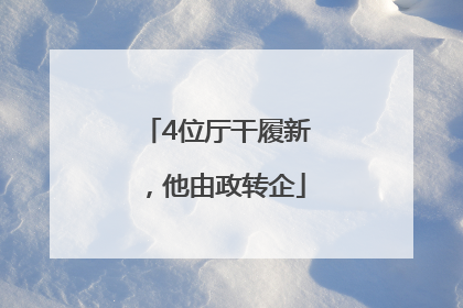 4位厅干履新，他由政转企