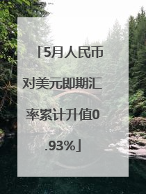 5月人民币对美元即期汇率累计升值0.93%