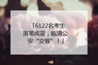 6122名考生落笔成章，临清公安“交卷”！