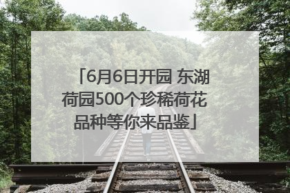 6月6日开园 东湖荷园500个珍稀荷花品种等你来品鉴
