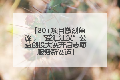 80+项目激烈角逐，“益汇江汉”公益创投大赛开启志愿服务新赛道