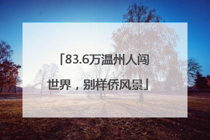 83.6万温州人闯世界，别样侨风景