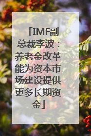 IMF副总裁李波：养老金改革能为资本市场建设提供更多长期资金